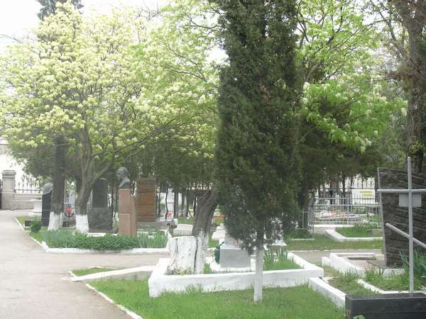 Аллеи кладбища 